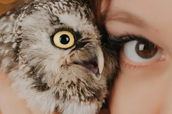 Kasino Palace of Chance Tuki